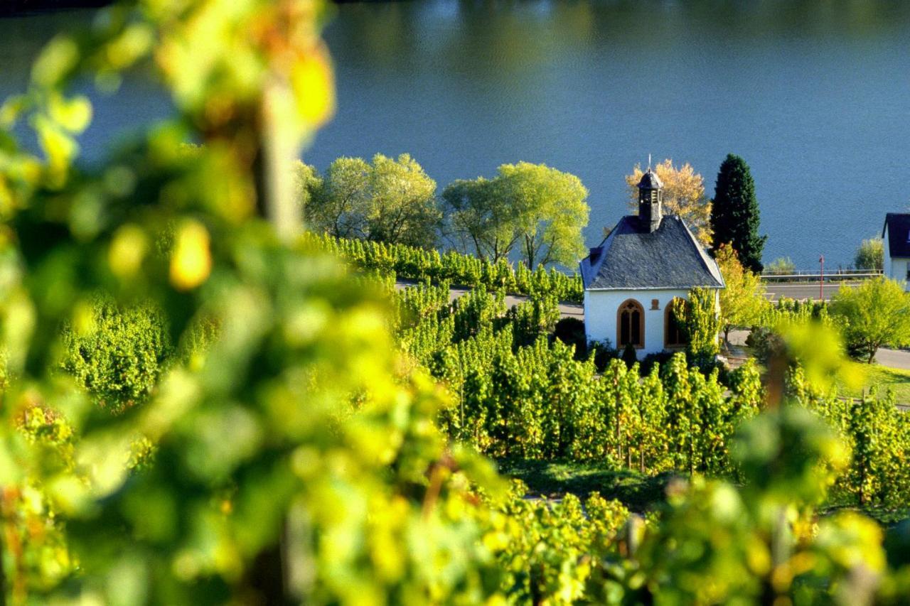 Apartmán Weingut Christoffel Kövenig Exteriér fotografie